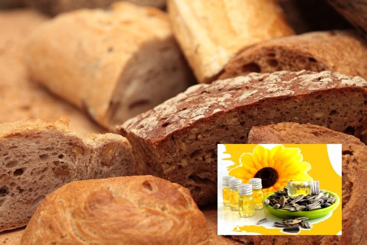 kolaj - hlqb i slyntcogled